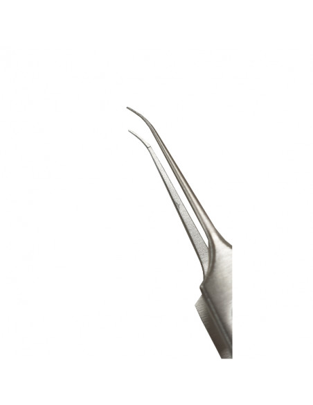 Troutman forceps curved sterile R Box of 10